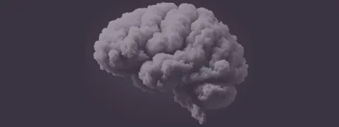 Hersenen gevoelig voor trauma