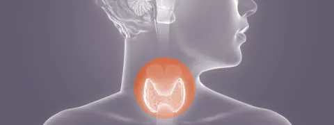  Jodiumsuppletie voor zwangeren met auto-immuun thyreoïditis