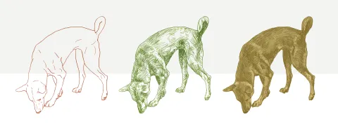 Honden ruiken parkinson in vroeg stadium